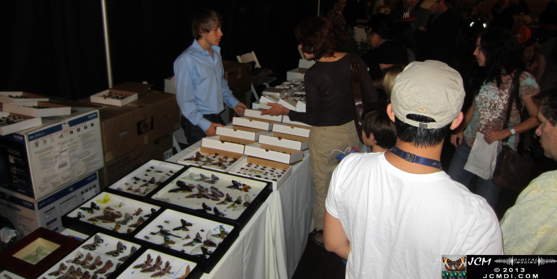 LANHM Bug Fair 2013 crowds and displays